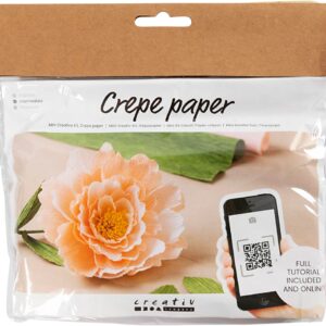 Mini DIY Kit Crepepapir, Pæon