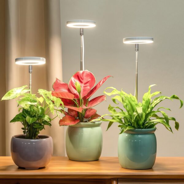 LEDlife plantelys med spyd - 12W, timer, dæmpbar, justerbar højde