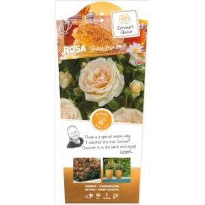 'Sweet Honey'Â®