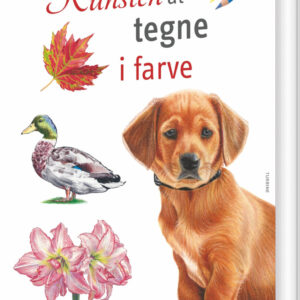Kunsten At Tegne I Farve - Bog